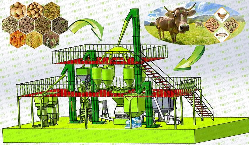 Feed Pellets Processing