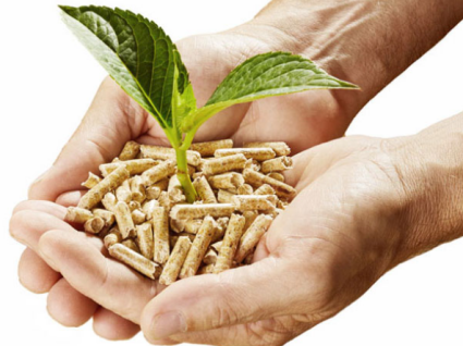 Biomass pellet fuel  as a clean fuel --- Ideal choice for alternative fossil fuel