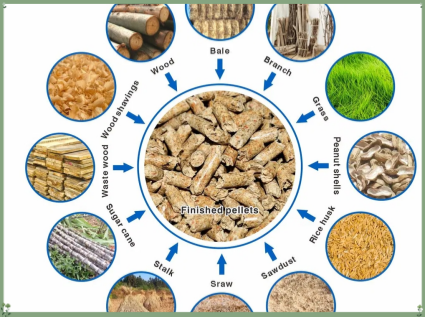 What raw materials are the biomass pellet machine mainly processed？