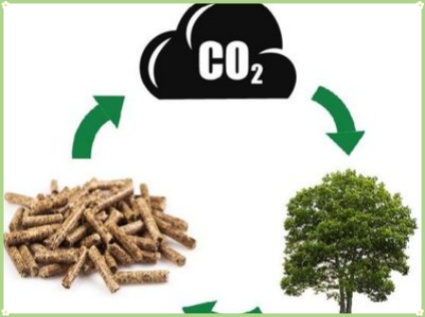 What are the sales channels for biomass pellet fuel？