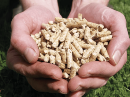Five important factors of unsatisfactory biomass pellet processing quality