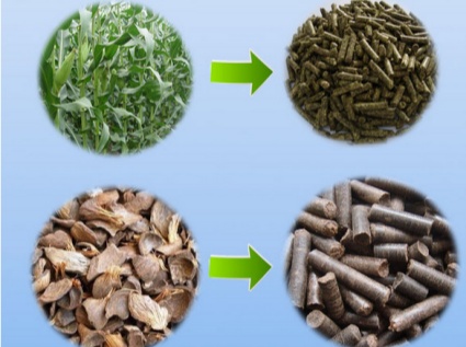 How to make straw into fuel or feed in a straw pellet machine?