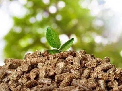 Biomass pellets have become a new energy source with promising prospects
