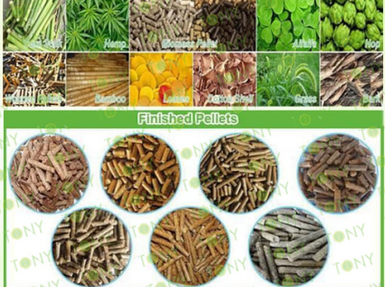 These 6 common problems of wood pellet machines and their solutions. Spend three minutes reading this, and you'll benefit forever!