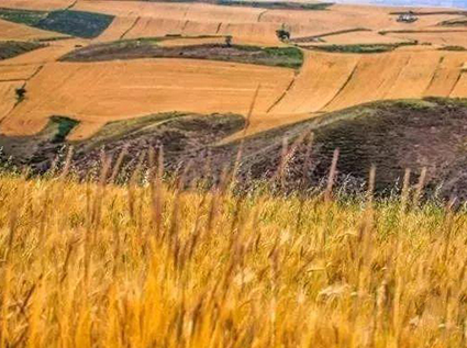 Straw turns waste into treasure, concept innovation is crucial