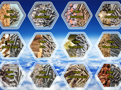 Biomass pellet machine: the main player of sustainable energy in the future