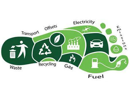 The future path of biomass energy generation