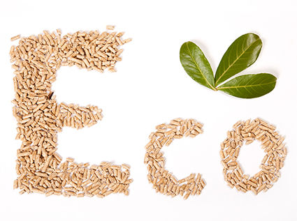 Promising projects in the global new energy industry Biomass pellet machine