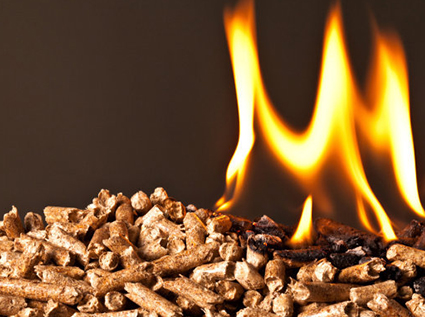 Wood  pellet machine connects with the international pellet fuel market