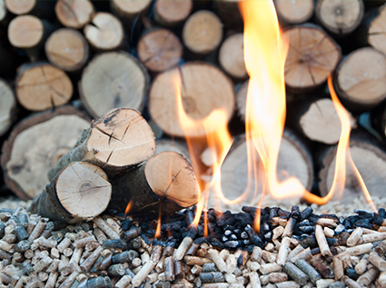 Coal price increase accelerates the popularity of biomass fuel in wood pellet machine