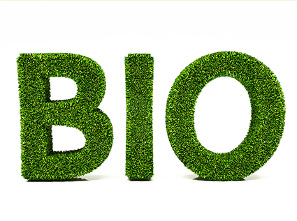 Facts have proved that it is absolutely feasible to engage in the biomass pellet industry.