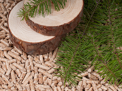 What are the differences between biomass new energy pellets vs traditional energy coal?
