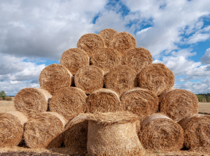 The straw pellet machine has enabled the crop straw to achieve a true closed-loop mode