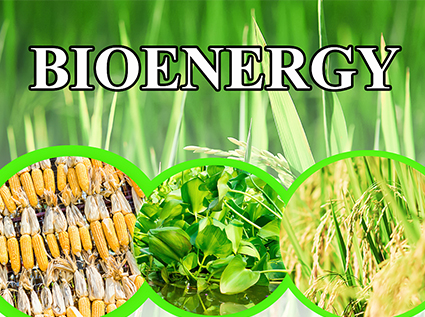 Straw pellet machine is a good equipment that can make straw energy-efficient