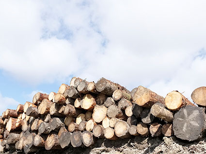 How much do you know how to use agricultural and forestry waste?