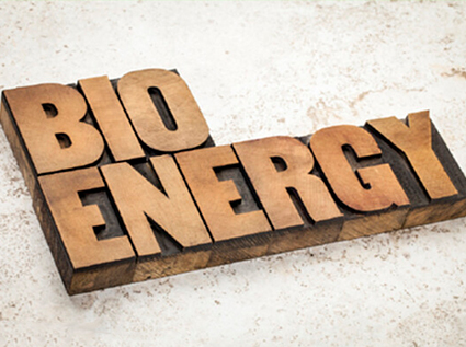 The biomass pellet fuel industry breaks the traditional fuel pattern and stands out