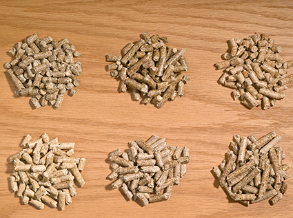 Analysis of the reasons for the presence of powder on the surface of the pellets produced by wood pellet machines