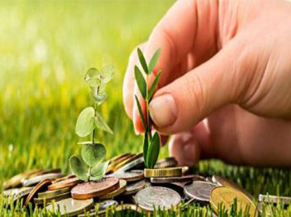 What is the current market for producing biomass fuel pellets, and how much is the investment?