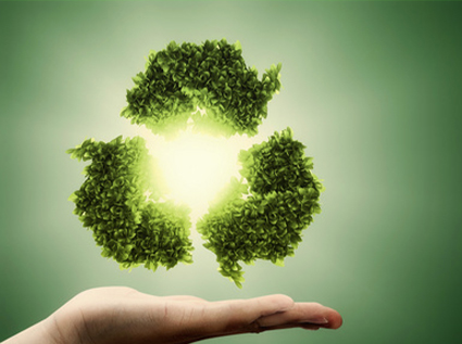 The contribution of sawdust pellet machines to environmental protection