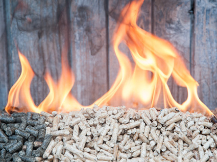 Why is it not allowed to burn firewood directly, but biomass pellet fuel allowed?