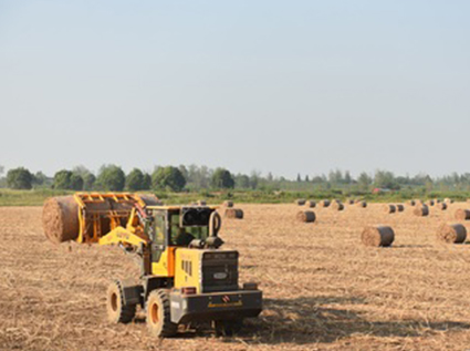 Biomass pellet machine-Efficient treatment of agricultural and forestry waste