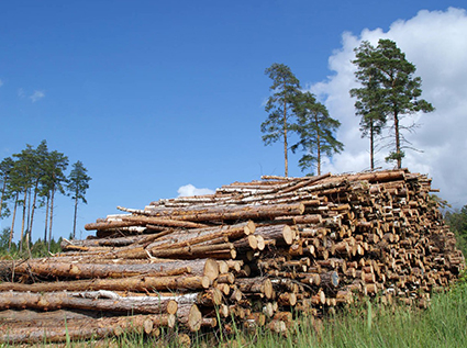 TONY's biomass pellet production line turns agricultural and forestry waste into treasure.