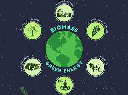 Wood  pellet machine leads biomass pellet fuel to green