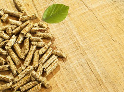 Why did biomass pellet fuel develop into a popular product?