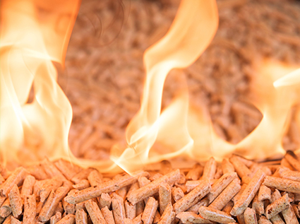 Why strongly support biomass pellet fuel?