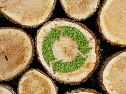 Pellet fuel has more advantages than coal, and the wood  pellet machine has been upgraded to an environmentally friendly product!