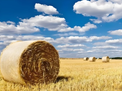 Straw-based biomass energy meets the requirements of The Times for green development