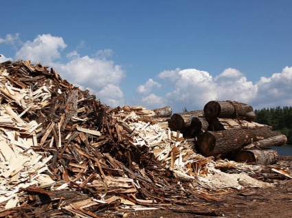 Don't throw away the wood scraps. Doing so can "turn them into cash".