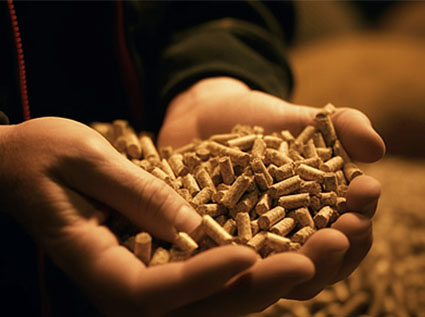 Investing in the biomass pellet fuel processing industry has huge potential