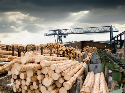 What can the waste from wood processing plants, such as wood shavings, be used for?