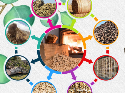 Introduction to the types of raw materials for biomass fuel pellet machines