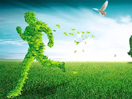 New development in waste utilization: TONY wood pellet machine manufacturer forges a "road to prosperity"