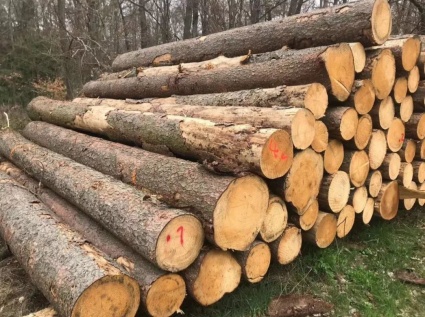 How can these waste timbers be utilized? TONY will handle it for you!