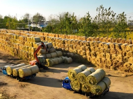 The straw pellet machine converts agricultural straw into new energy.