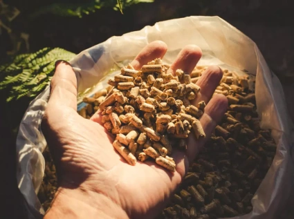 Analysis of the reasons for poor wood chip pellet forming