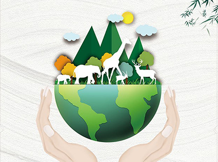 Common Misunderstandings in Selecting Biomass Pellet Machine 