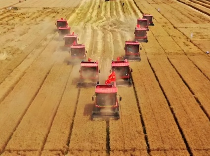 Biomass pellet machines are the key to unlocking the "sleeping resources" of agriculture.