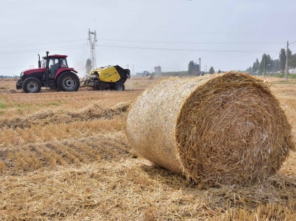 Buying straw pellet machines to process pellet fuel is a great value for money!