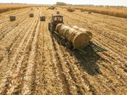 The comprehensive utilization of agricultural waste promotes the development of the pellet machine industry