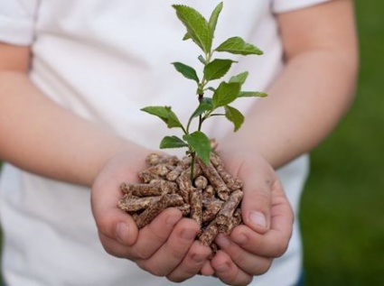 What are the quality identification methods for biomass pellet fuel?