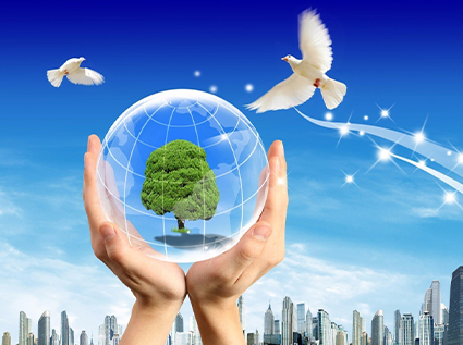 Common sense you must know when purchasing a wood pellet machine