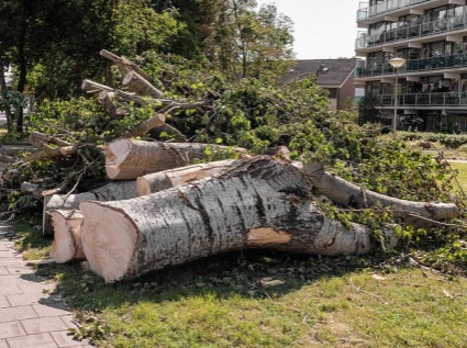 It turns out that these seemingly insignificant "waste" can also be used as biomass pellet fuel