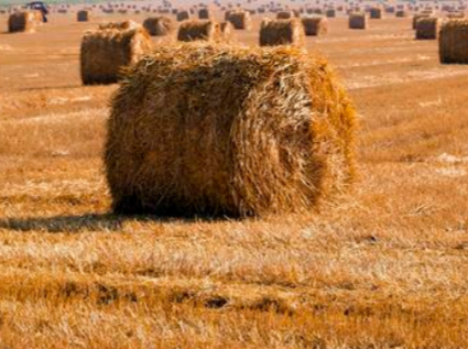 Straw pellet machine- a revolutionary technology for waste crop treatment