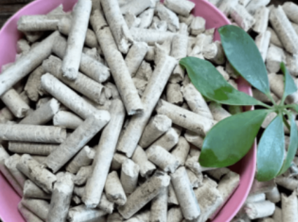 Summary of the reasons for the non-forming of biomass pellet