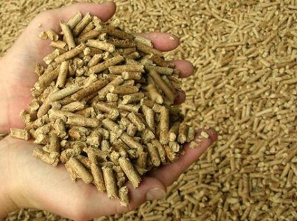 Biomass pellet fuel - Small particles, big environmental benefits