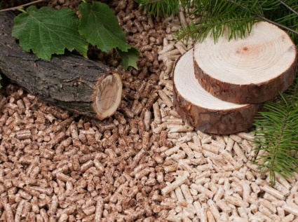 The environmental value of biomass pellets
